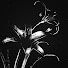 yOZ7wwpdgXM-channel-avatar-Inesa