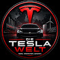 Die Tesla Welt Avatar