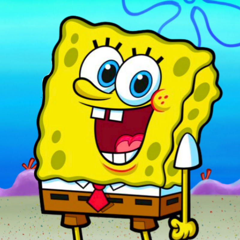 Sponžík