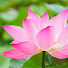 y66vcbUvKiM-channel-avatar-history 60s