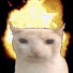 CaCB5LngVgo-channel-avatar-big doofus