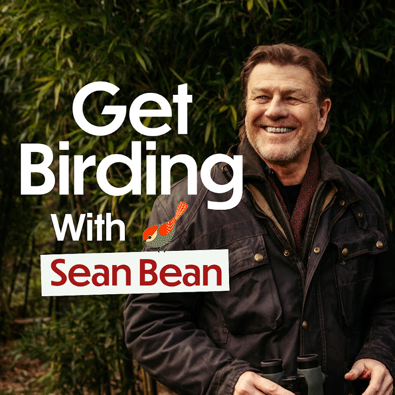 Get Birding cover art
