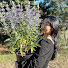2wOBVPekF9w-channel-avatar-Journey with Chong