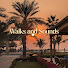 Db9z_TQ2f5Y-channel-avatar-Walks and Sounds
