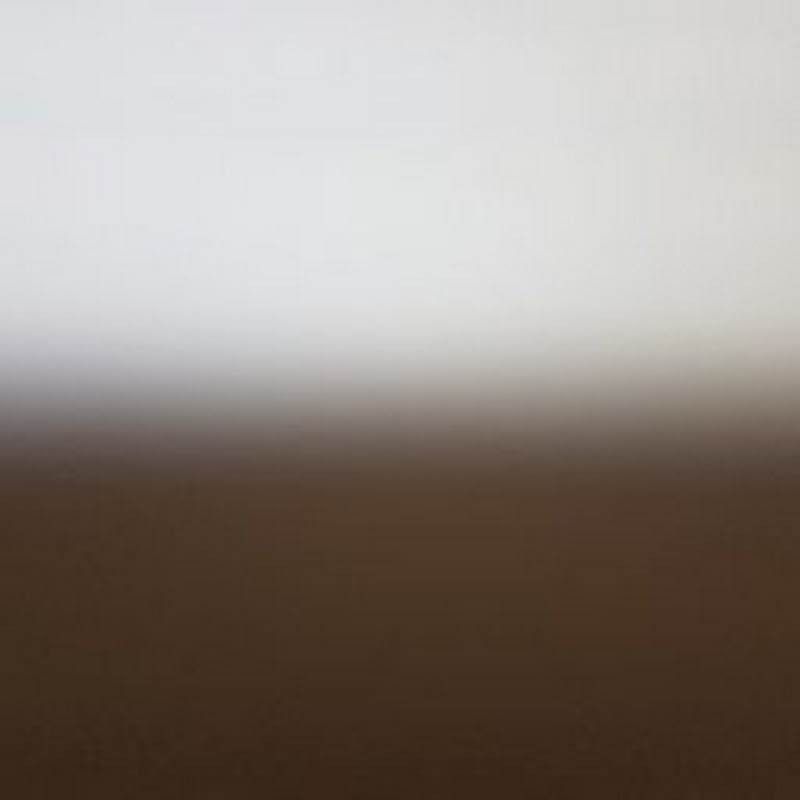 All Vehicle Reviewer (올비클) Logo