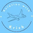 4WFtZja3deo-channel-avatar-Aviation with Krish 