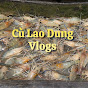 Cù Lao Dung Vlogs logo