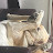 @naomih6297 Avatar