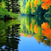 Reflective Moments