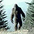 Co-aOWA24oA-channel-avatar-The Bigfoot Records
