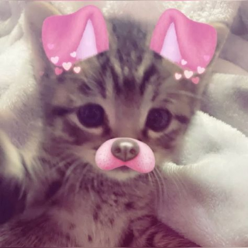 macchuu