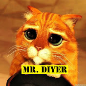 Mr. DIYer