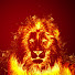 7l68Ma7sWGY-channel-avatar-iGaziLeNkosi