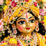 Sm10Ge_ytBU-channel-avatar-Snehudii