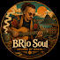 cTuKDcYJtDI-channel-avatar-BRio Soul