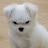 @백설기-f6t