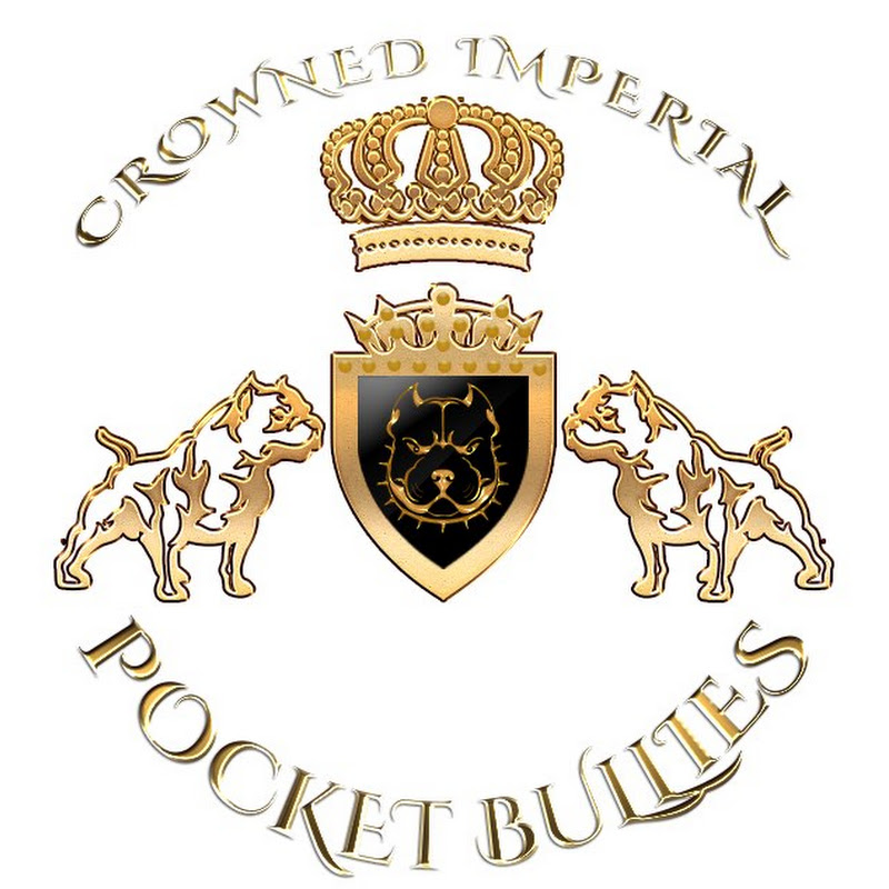 Crowned Imperial Pocket Bullies