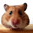 @housecleaning-k5k