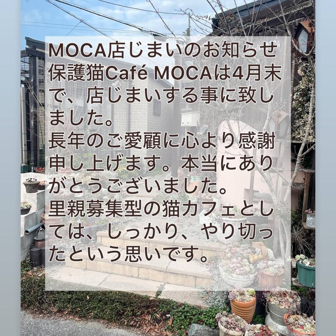 Post from 保護猫Café MOCA FUKUOKA