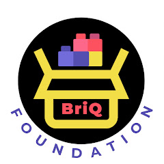BriQ Foundation net worth