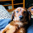 @Bonky2004's avatar