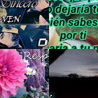 thumbnail img1x1