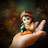 @dineshmalviya5916 Avatar