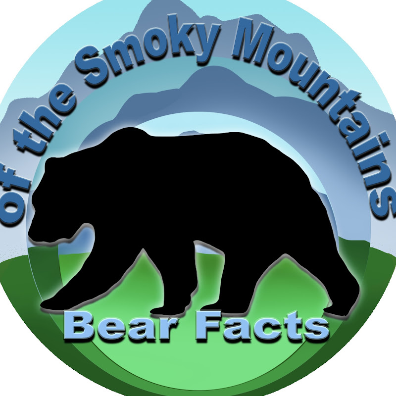 Bear Facts of the Smoky Mountains