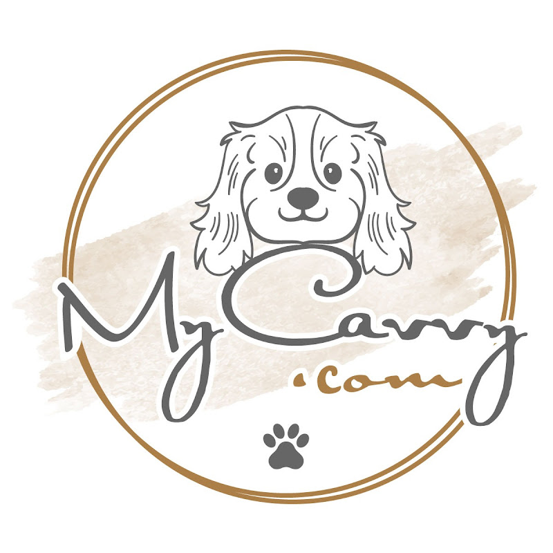 My Cavvy