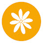LSA Family Health Service logo