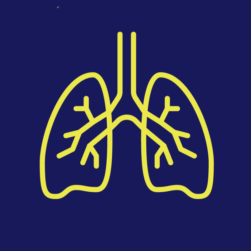 폐암 무엇이든 물어보세요 Logo