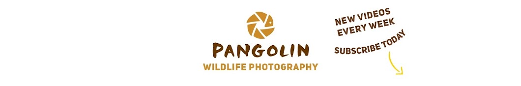 Pangolin Wildlife Photography Banner