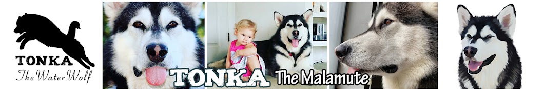 The Adventures of Tonka the Malamute AKA WaterWolf YouTube-Kanal-Avatar