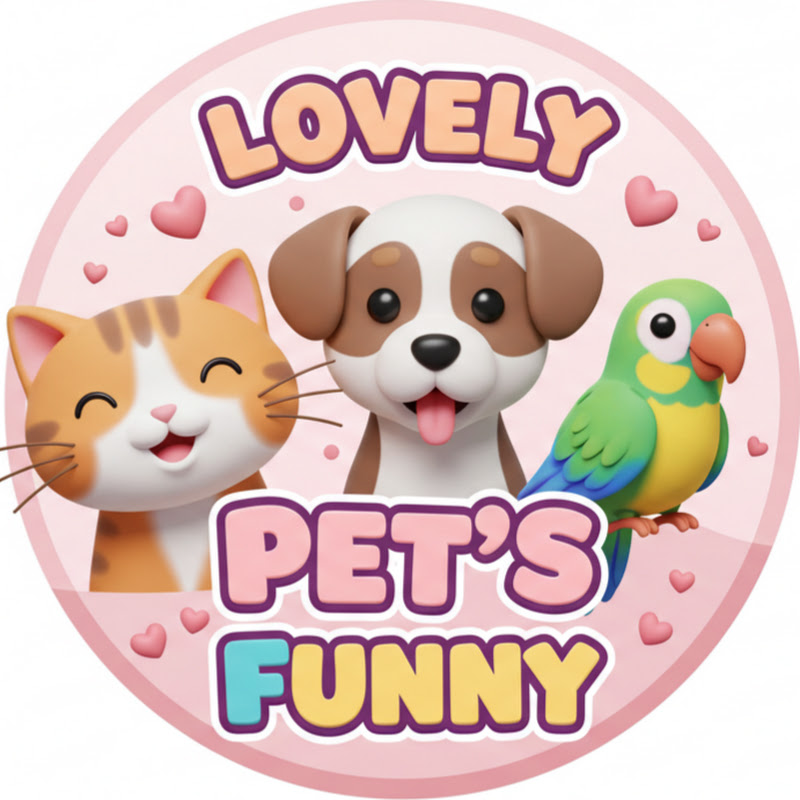 Lovely Pet's Funny