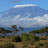 @mountkilimanjaro2982