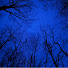 RB-dq2bmOBE-channel-avatar-jeg