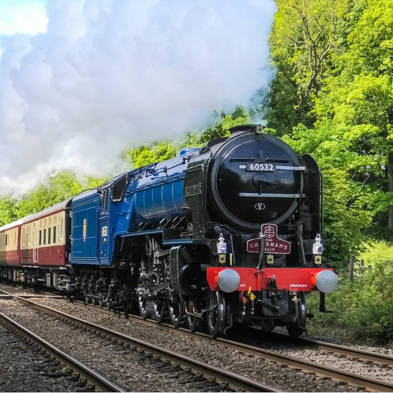 Marsh Steam Videos™
