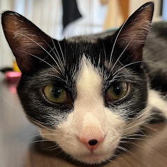 スカッとリアル