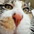 _916aS7AF44-channel-avatar-2melly