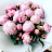 @Chacha1984aus