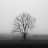 @Meur_sault