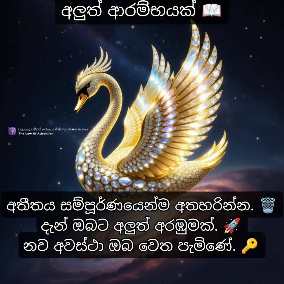 Post from Ayale 1111