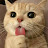 @Damir_35519