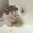 lMCR4xop1_I-channel-avatar-여운 yeoun