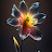 @SalmaElkoly-g5p