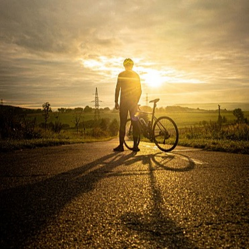 Wanderer by Sajid