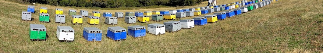 ANEL - Beekeeping Supplies - ÎœÎµÎ»Î¹ÏƒÏƒÎ¿ÎºÎ¿Î¼Î¹ÎºÎ¬ Î•Ï†ÏŒÎ´Î¹Î± YouTube channel avatar