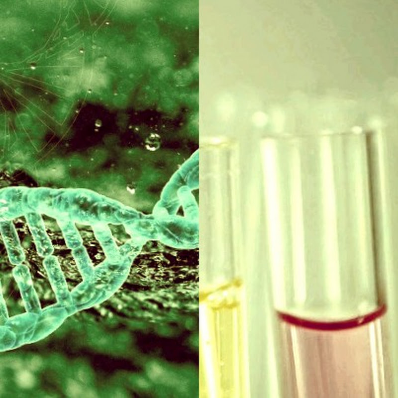 Medical Biochemistry For Medical Students