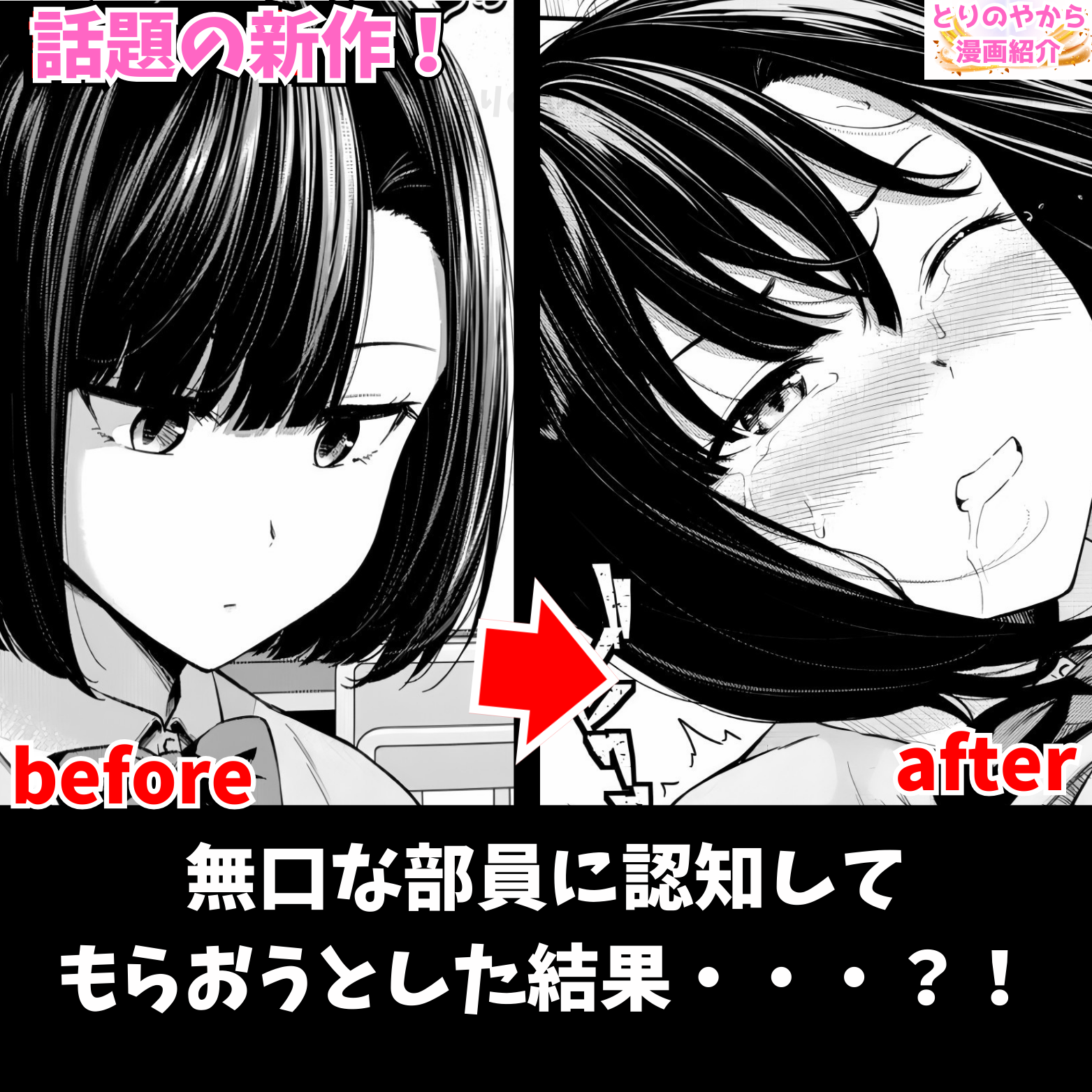 Post from とりのやから漫画紹介