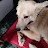@Zoro.016 Avatar